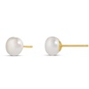 Amazon Essentials 14K Gold Plated Sterling Silver Freshwater Pearl Stud