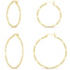 Amazon Essentials Plated Twisted Hoop Earring set