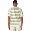 Glade Spring Stripe T-Shirt - Men's