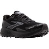 Divide 5 GTX Trail Running Shoe - Men's