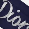 Dior Logo Detailed Scarf