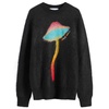 Casablanca Rainbow Mushroom Mohair Jumper