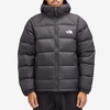 The North Face Hydrenalite Down Hoodie