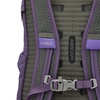 Osprey Daylite Backpack