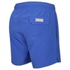 arthus stretch solid four way stretch swim shorts provence