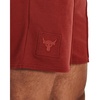 Under Armour Pjt Rock Terry Gym Short