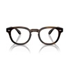 Ov5036 - Sheldrake 1677 Marrone Corteccia Glasses