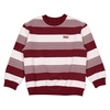 Levi's Boys Cabernet Stripe Crew Neck Sweatshirt