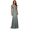 Women's Fitted Lace Mermaid Gown