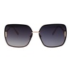 Stylish Sunglasses SCHF72M