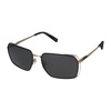 Stylish Sunglasses SCHG90