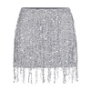 Sequin Fringe Embroidered Mini Skirt