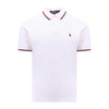 Striped Collar Polo Shirt White