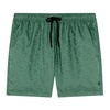 Ultralight Fast Dry Swim Shorts Green