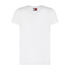 Tommy Hilfiger T-shirts and Polos