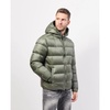 Short Men's Puffer Jacket with Hood