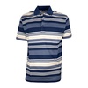 Cotton Polo with Logo, Blue Stripe