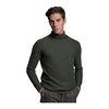 Dolcevita Stylish Turtleneck