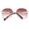 Brown Women Sunglasses