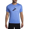 distance graphic short sleeve shirt in vivid blue/flying b