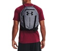 Men's Undeniable Sackpack