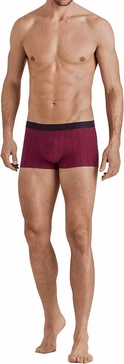 striped cotton knit boxer in burgundy