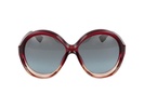 Dior Eyewear Diorbianca Oval Frame Sunglasses