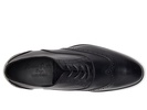 Corazzano Wing Tip