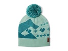 Telluride Pom Beanie