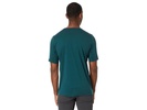 Ionia Merino Wool Short Sleeve