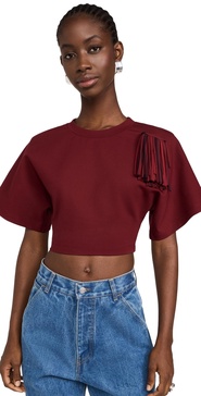 Fringe Brooch Cropped T-Shirt