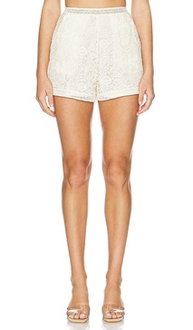 High Waist Shorts