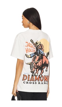 Sunshine Bull Ride Tee