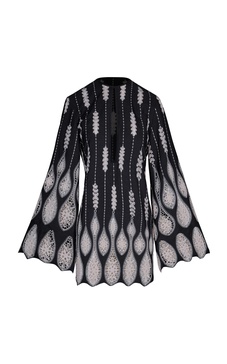 Vision Seeking Embroidered Lace Mini Dress