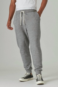 sueded terry joggers in heather grey