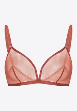 Providence Transparent Triangle Bra