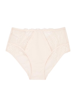 Reve panelled lace briefs 