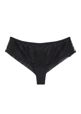 Intrigue embroidered tulle briefs