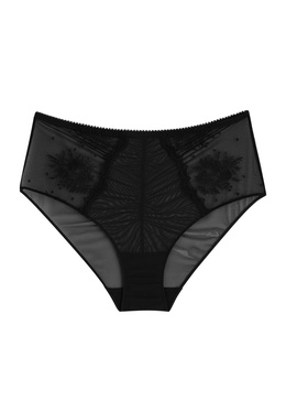 Intrigue high-waist embroidered tulle briefs