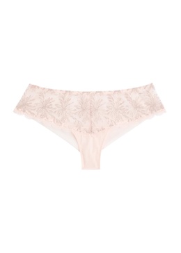 Singuliere embroidered tulle briefs 