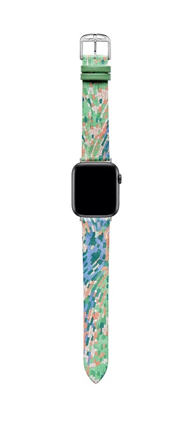 Ted Baker Multicolor Leather Strap for Apple Watch® (Model: BKS38S201B0)