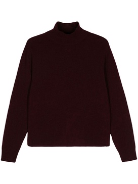 Alysi Cashmere Turtleneck Sweater