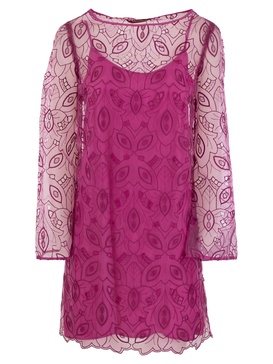 Max Mara Studio Braccio Embroidered Organza Mini Dress