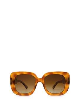 Chimi Sunglasses