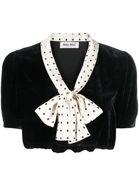 Miu Miu Velvet Cropped Blouse