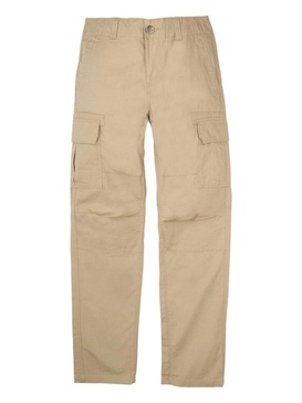 Dickies Millerville Regular Cargo Pant Clothing