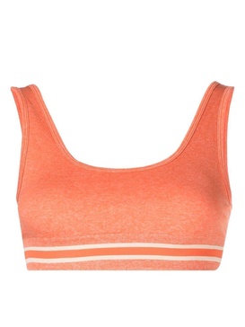 Daisy stripe trim bra