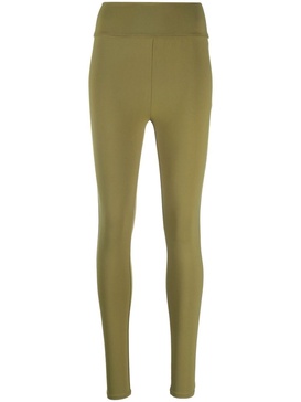 Tuxedo Legging Lily Pad