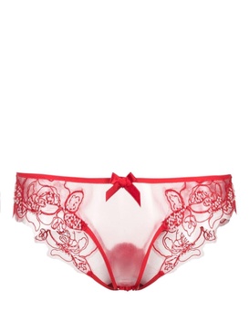 Lindie floral-embroidered tulle briefs