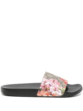 multicoloured Blooms floral slides